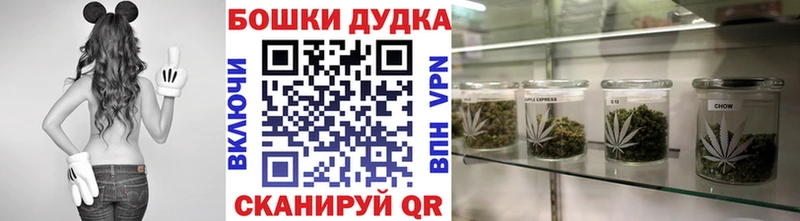 Шишки марихуана семена  Краснослободск 